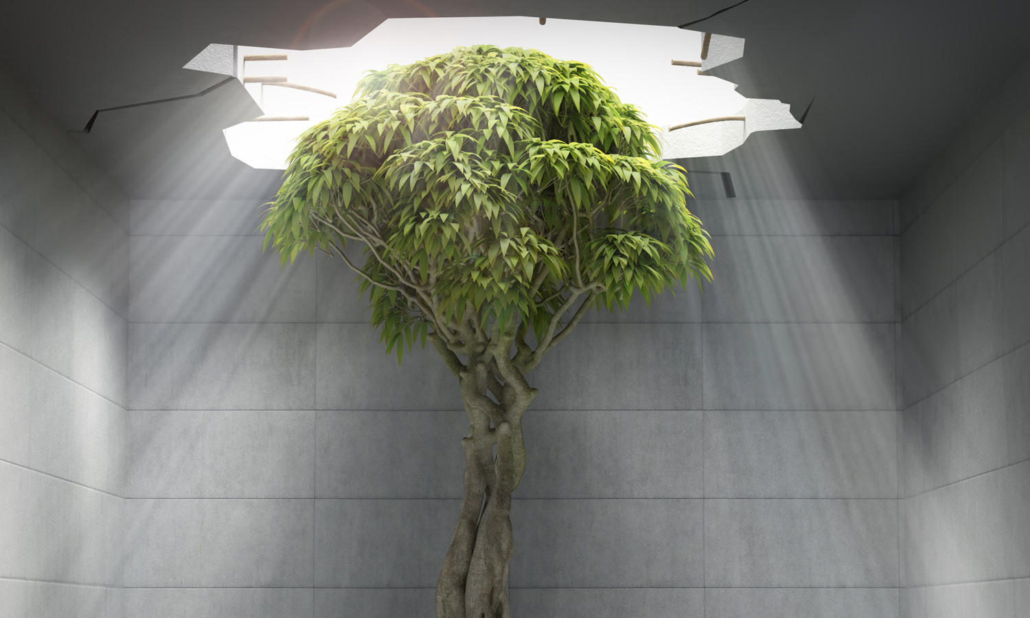 Perché scegliere Fugacemente